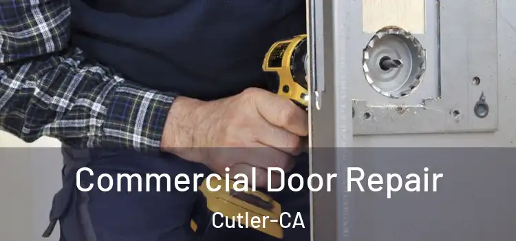  Commercial Door Repair Cutler-CA