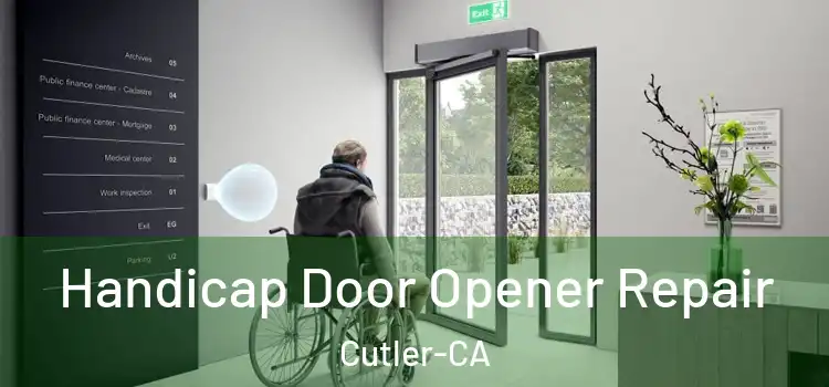  Handicap Door Opener Repair Cutler-CA