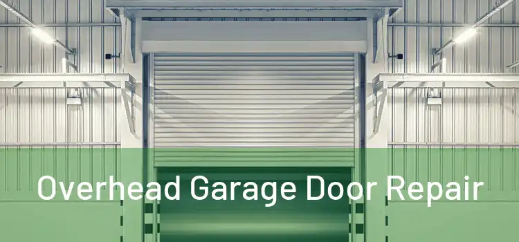  Overhead Garage Door Repair 